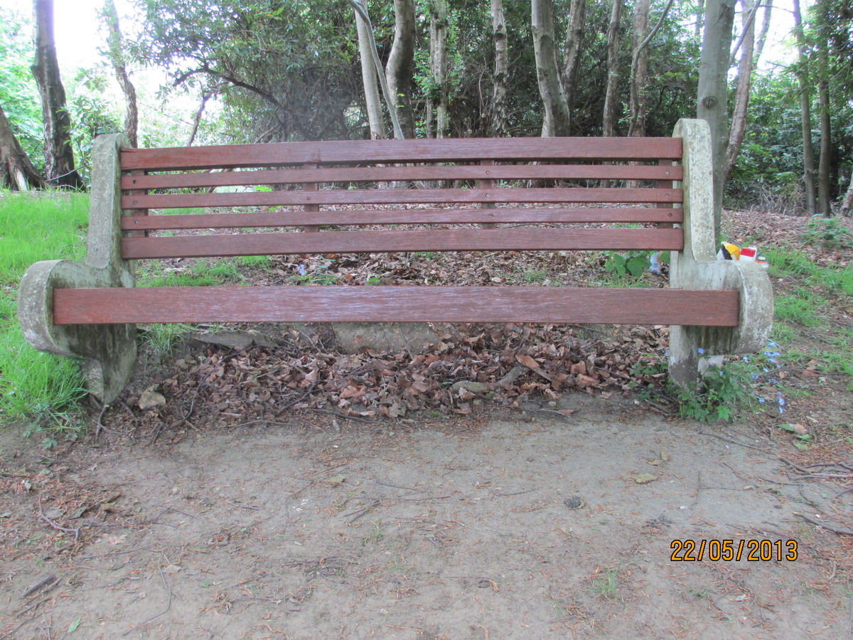 Renovated Seat at the viewing point